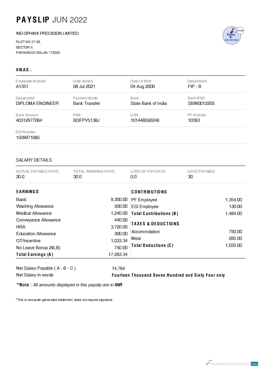 Download Ind Sphinx Precision (Tool manufacturer) payslip template in Word and PDF formats.pdf, 1 Photoshop template